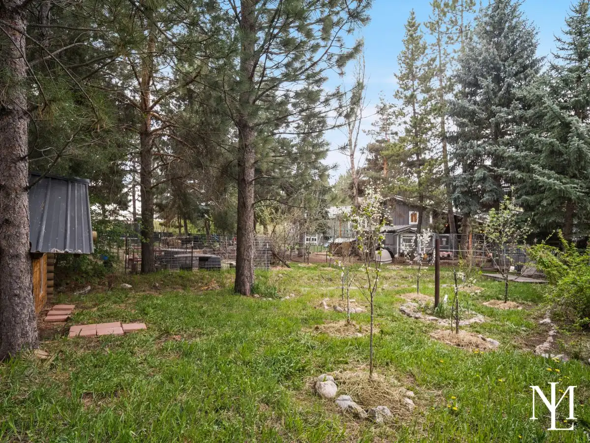 Young orchard and garden area surrounded by tall pines in peaceful Eden, Utah backyard.