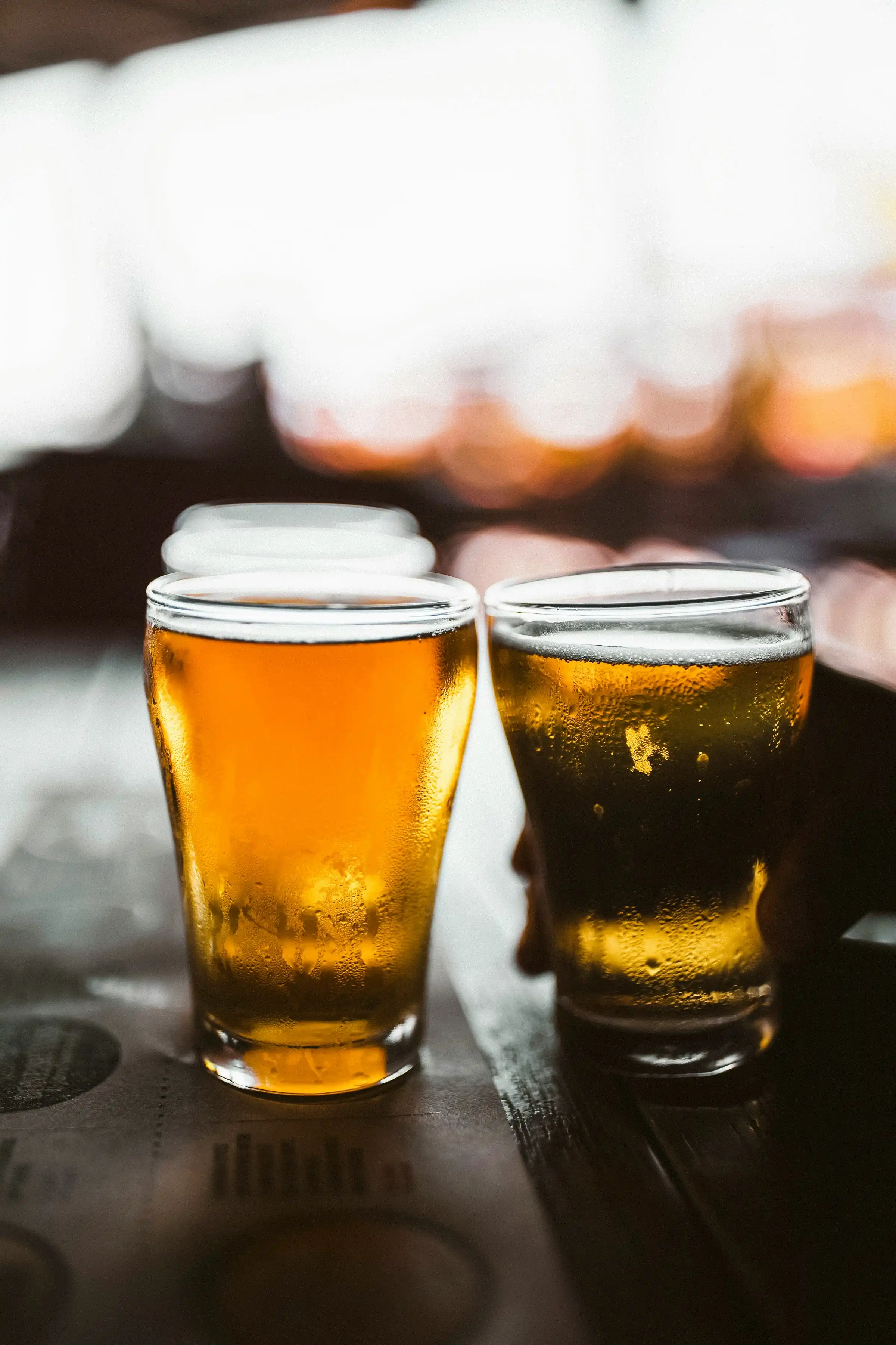 card image for Bars in Provo, UT in Provo, Utah