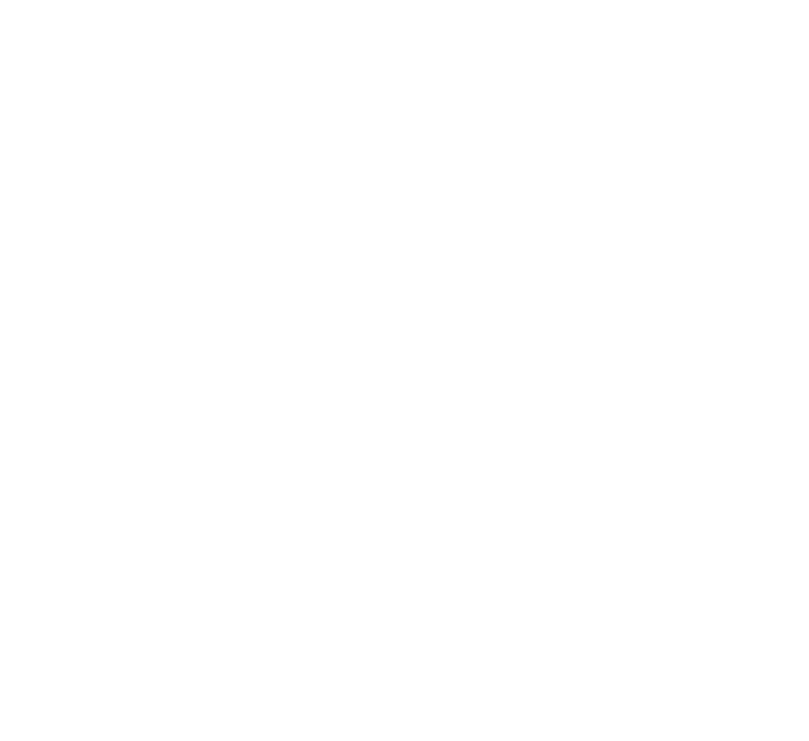 Bullfrog Spas logo