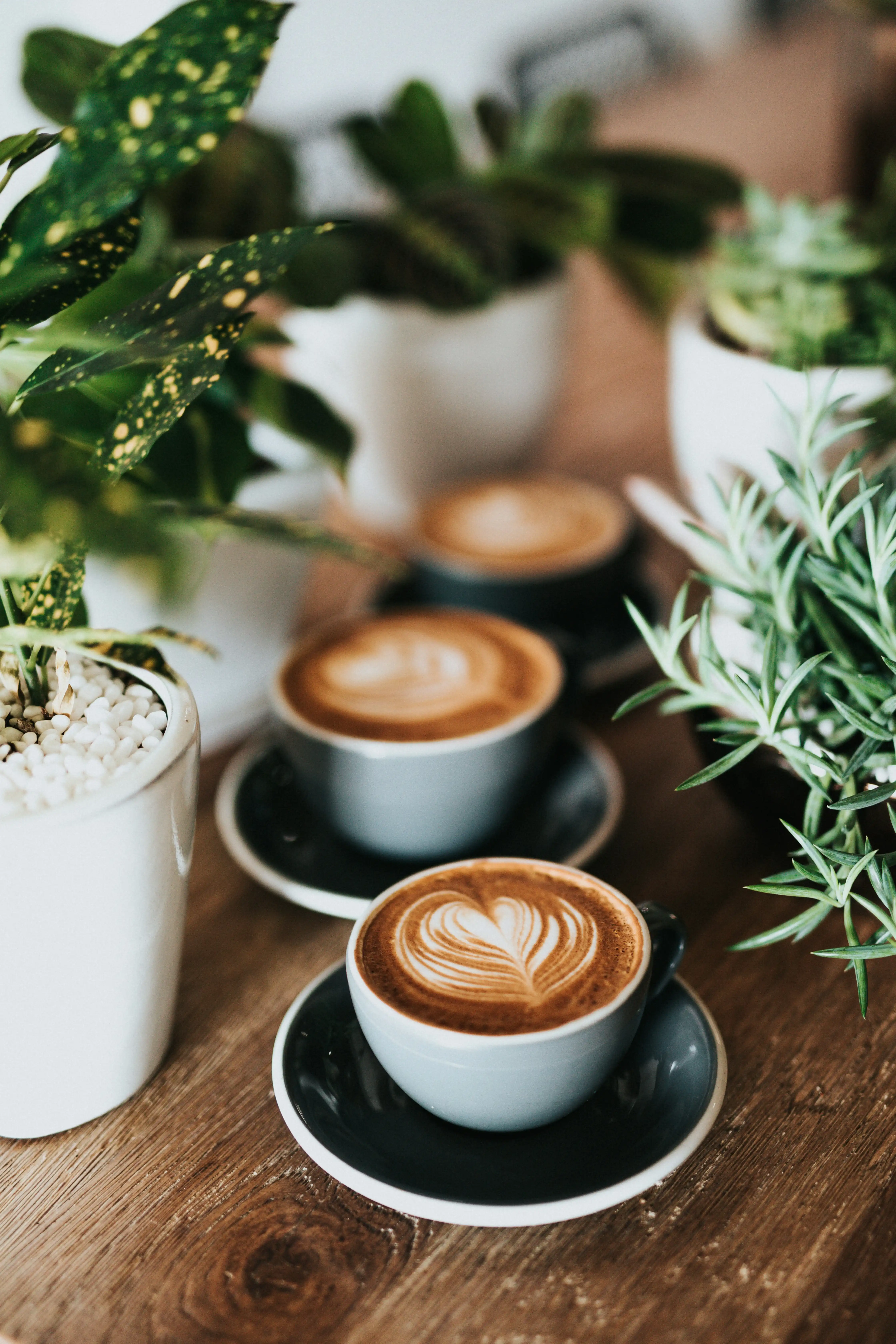 hero image for Coffee Shops in Provo, UT