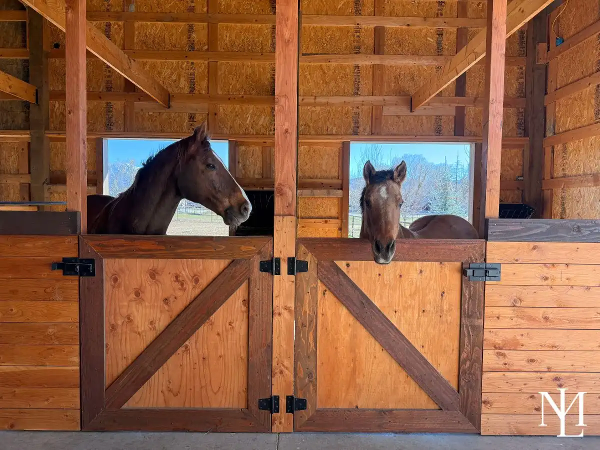 Two horses looking out from wood stall doors inside a barn with natural light and pasture views.