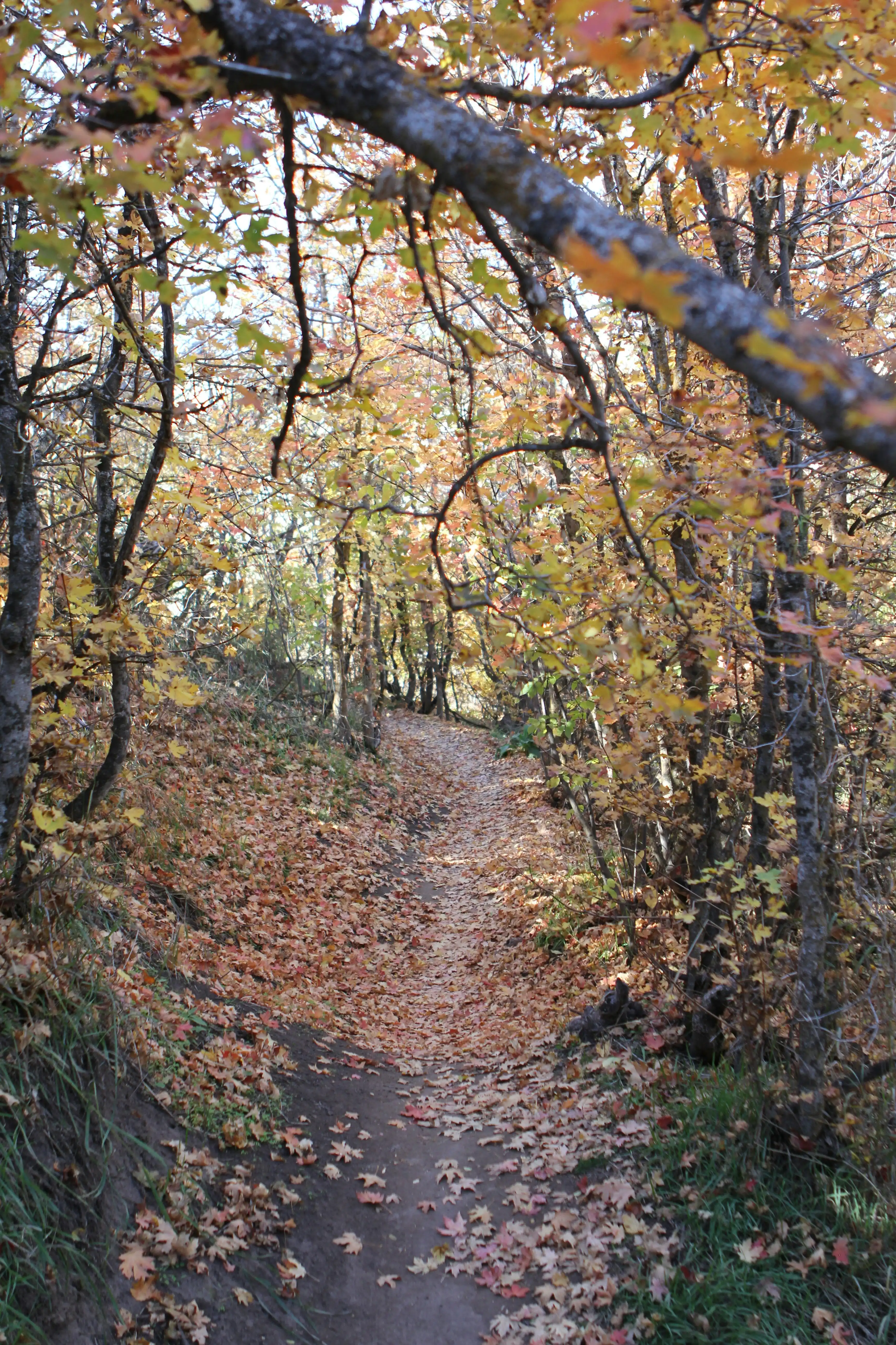 Sun Valley trail in Idaho