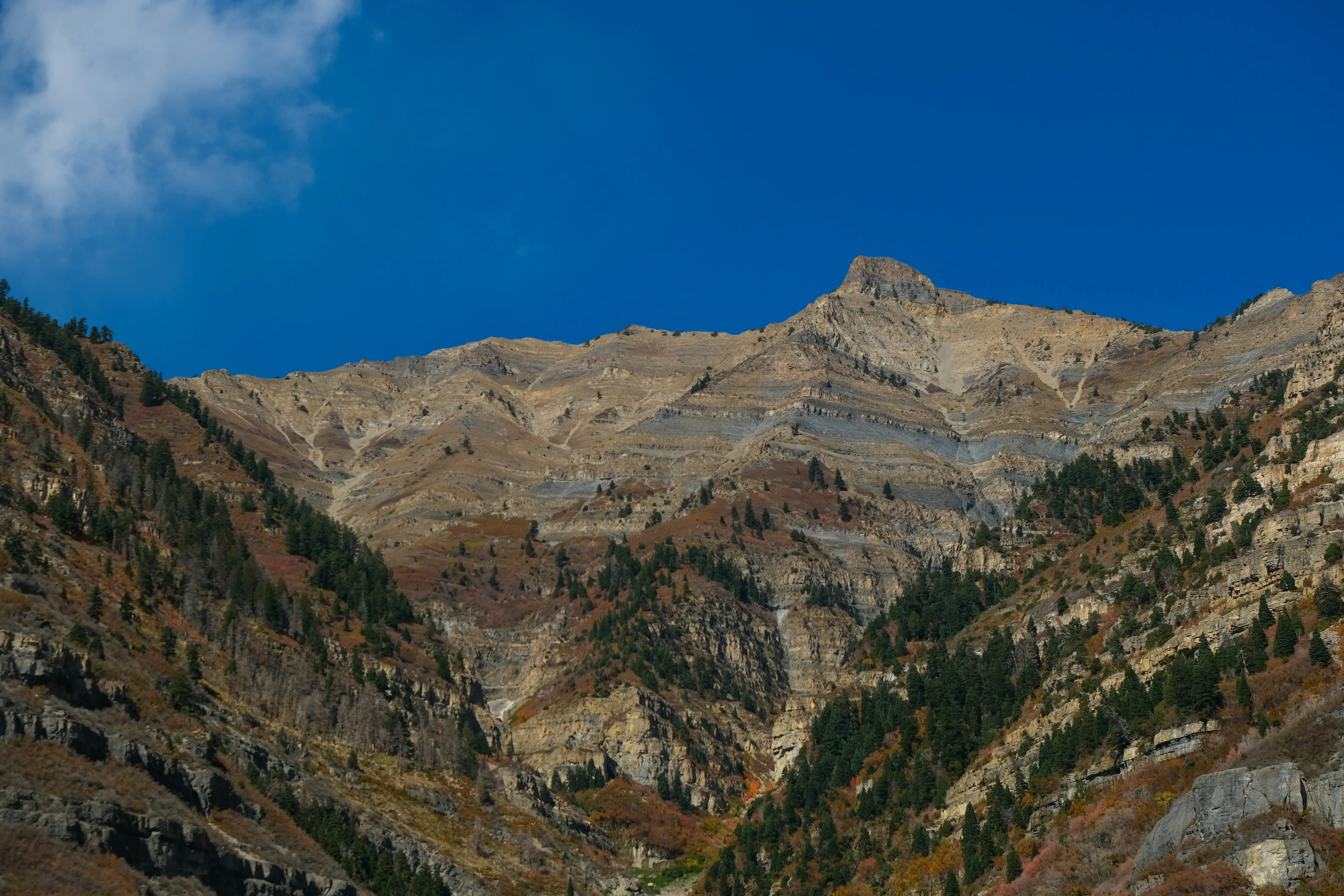 hero image for State & National Parks Near Heber City, UT