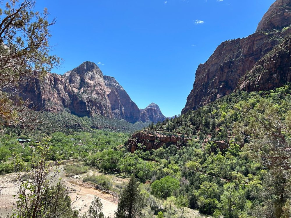Zion National Park with Kids — What I Learned on My First Family Trip