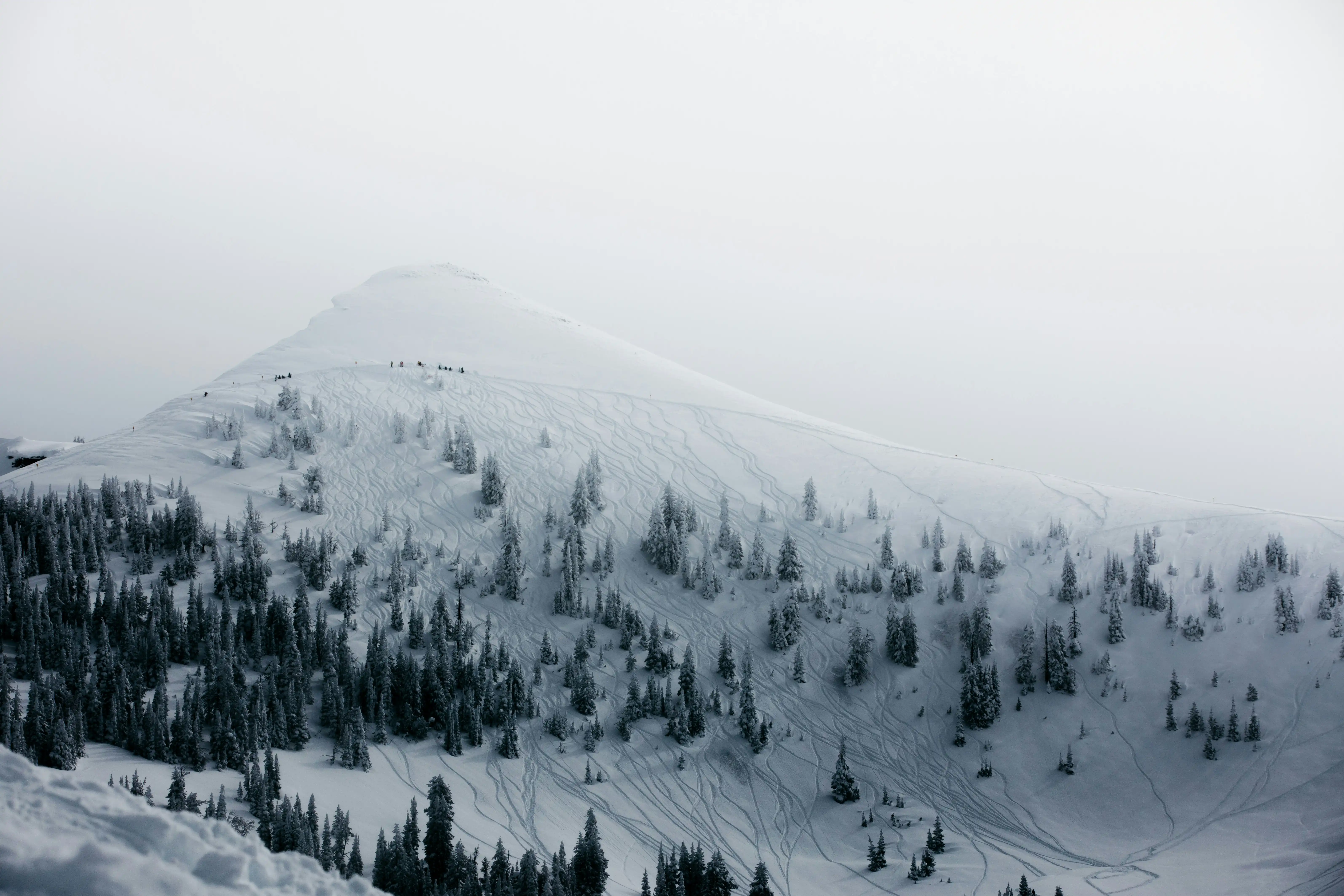 hero image for Alta, Wyoming page