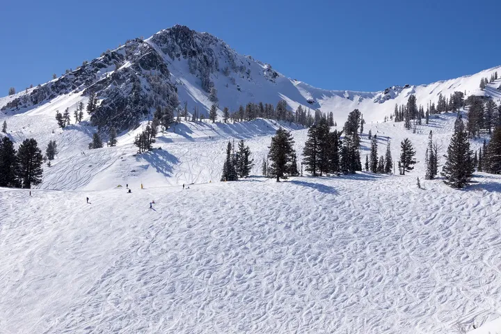 Snowbasin's DeMoisy Peak