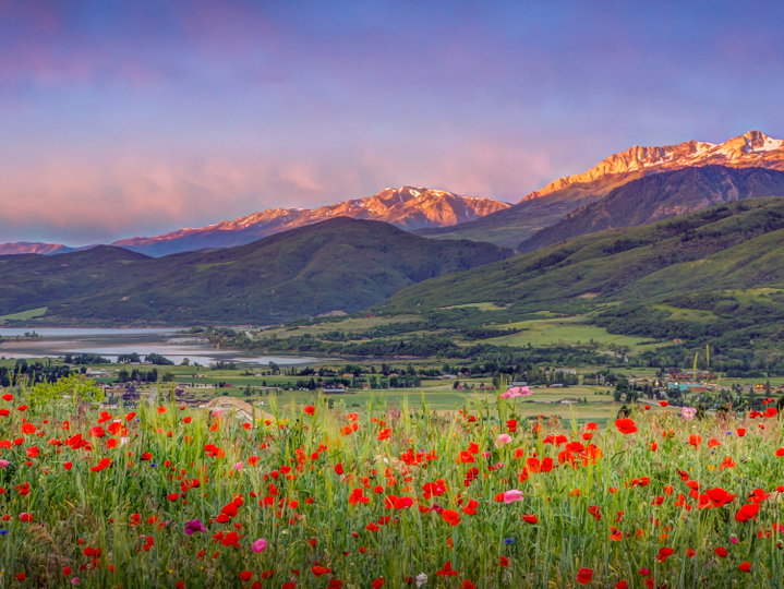 Scenic view of Eden