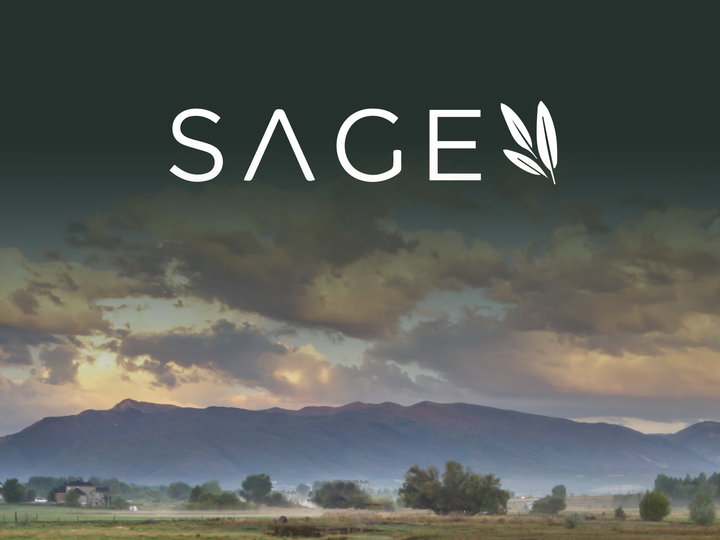 Sage Hero
