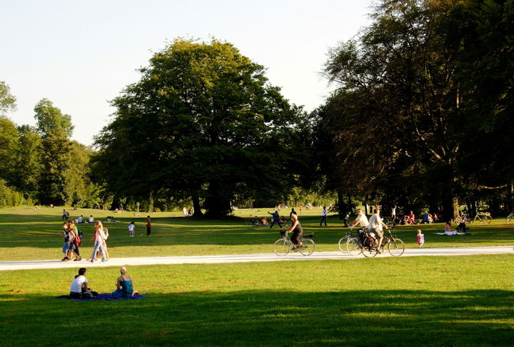 People walking at a park
