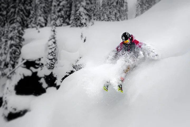 Skier in powder.