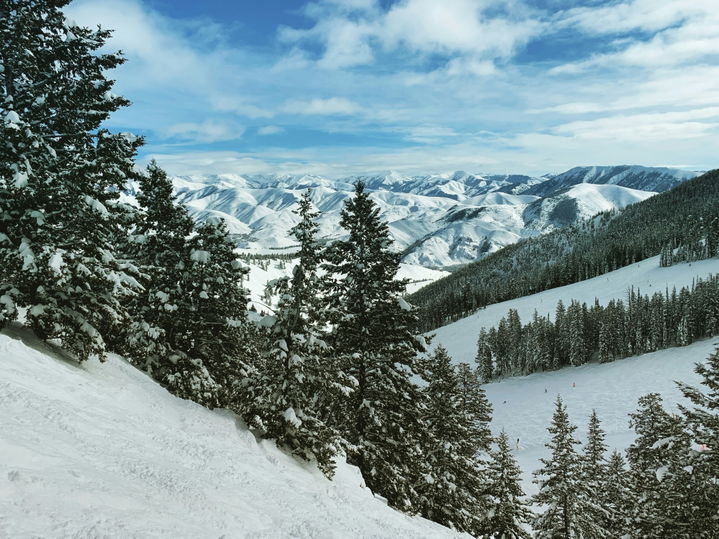 Snow-covered ski terrain with evergreen trees and sweeping mountain views under a blue sky.