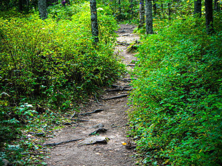 Hiking and biking trails in Ketchum, Idaho
