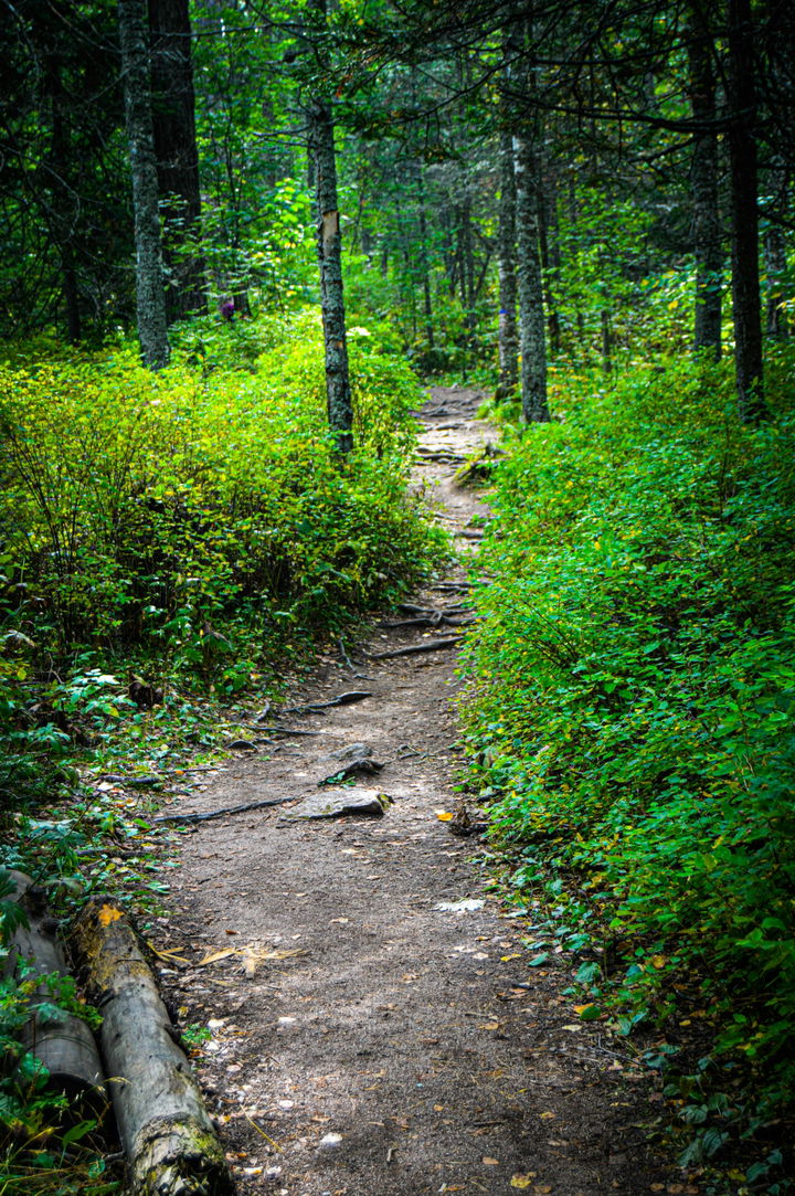 hero image for Trails in Ketchum, ID