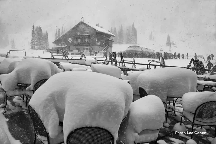Alta ski area covered in fresh powder