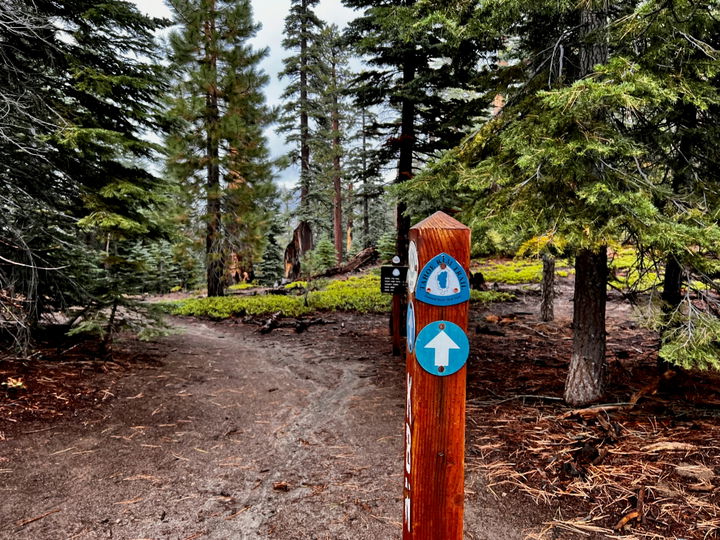hero image for Trails in Incline Village, NV