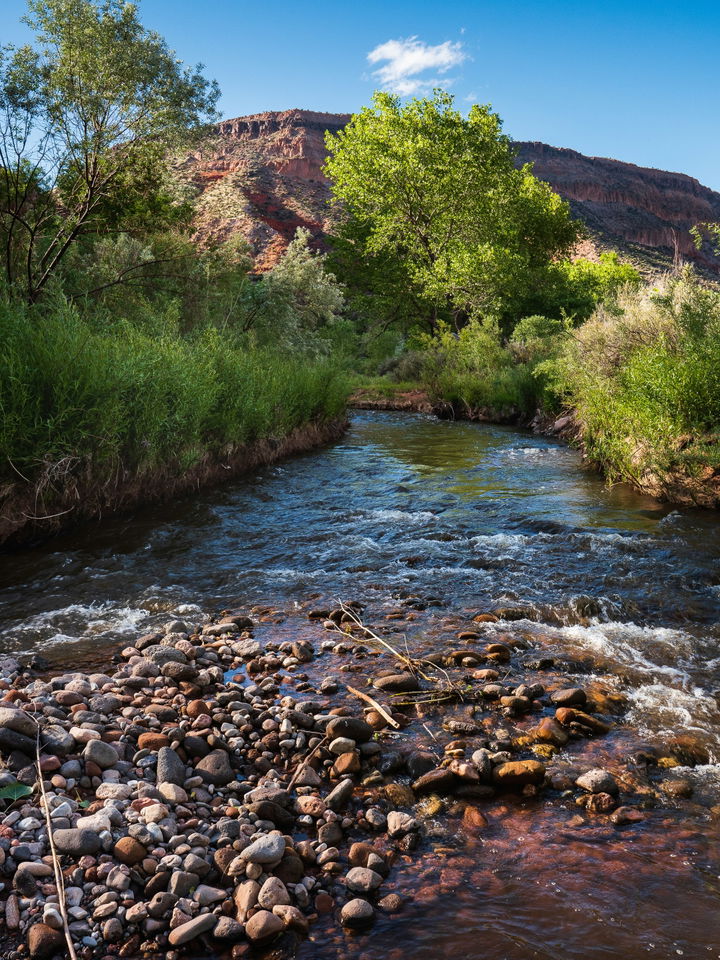 A river in New Mexico surrounded by red rock