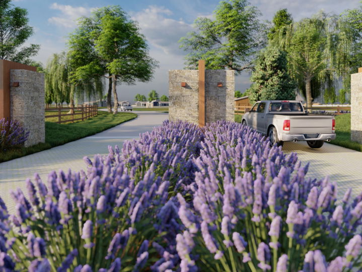 sage entry with lavender