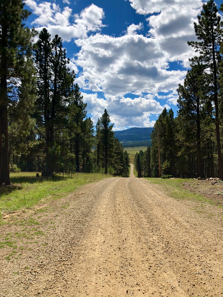 Trails in Angel Fire, New Mexico