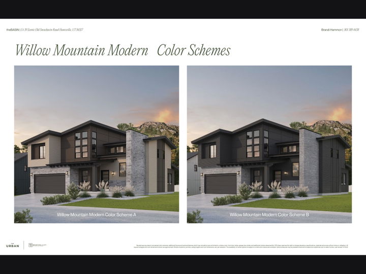 Willow Mountain Modern Color Shemes