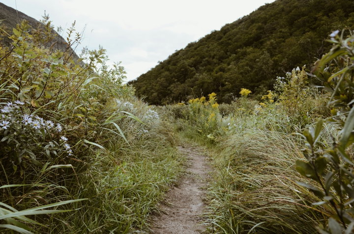 hero image for Trails in Ogden Valley, UT