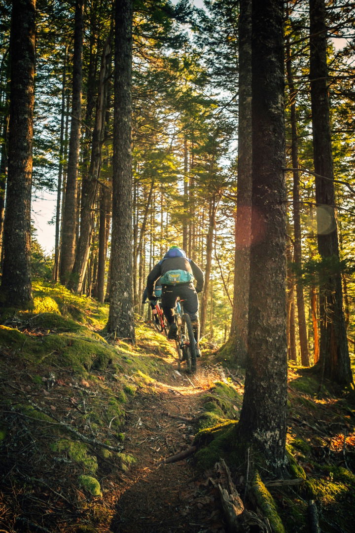 Mountain biker on a trail in the woods