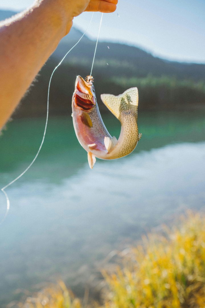 Trout fishing at a lake with a mountain backdrop